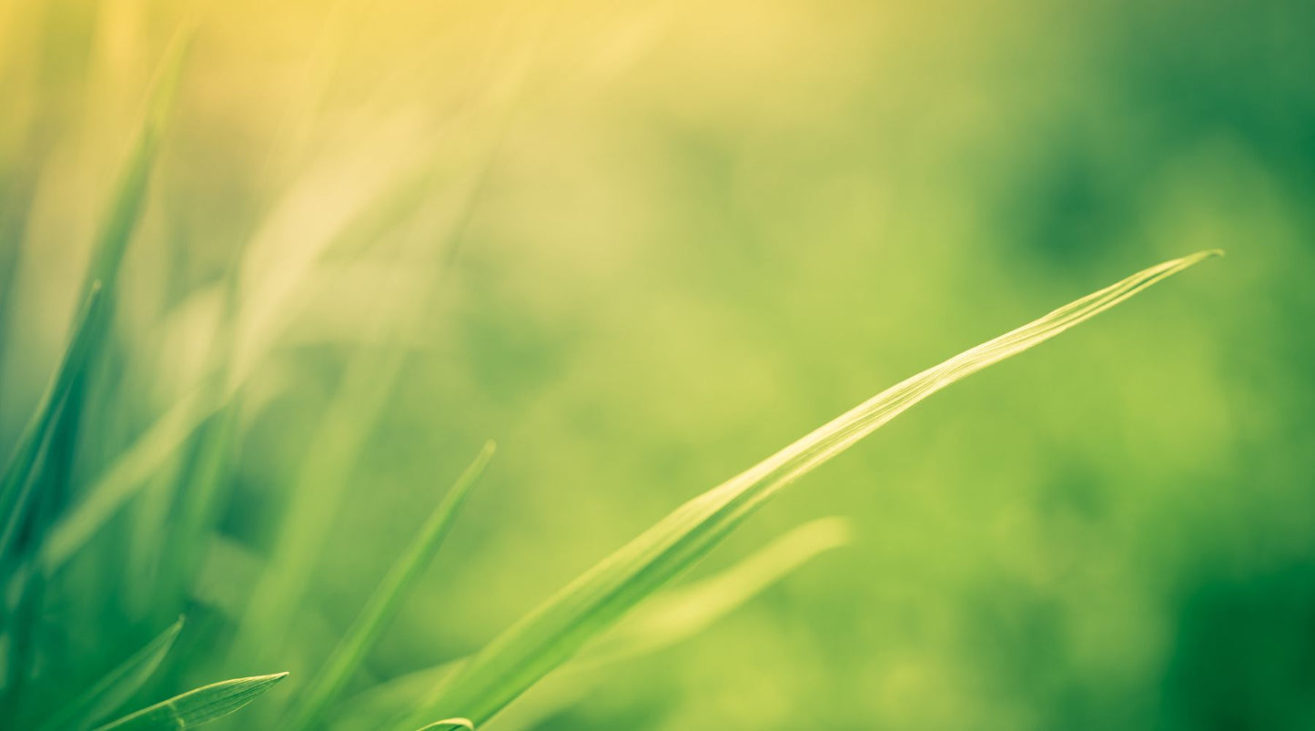 Why We Need to Make Detoxing Part of Our LifeStyle!