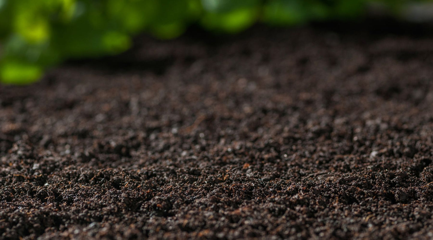 Soil Depletion and the Lack of Nutrients in Modern Foods