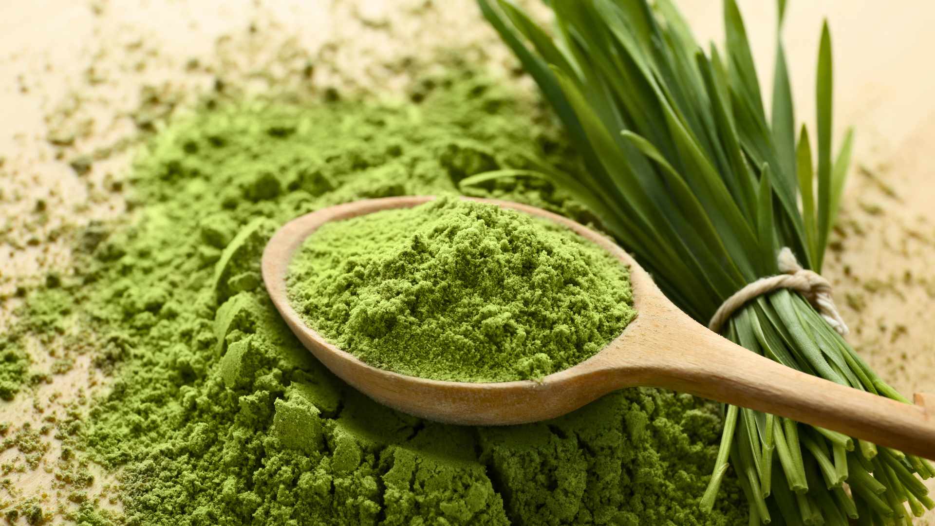 Barley Grass vs Wheatgrass Benefits! The Main Differences Health is