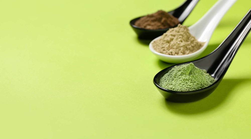 Minimalist image of 3 spoons containing food powders on a green surface