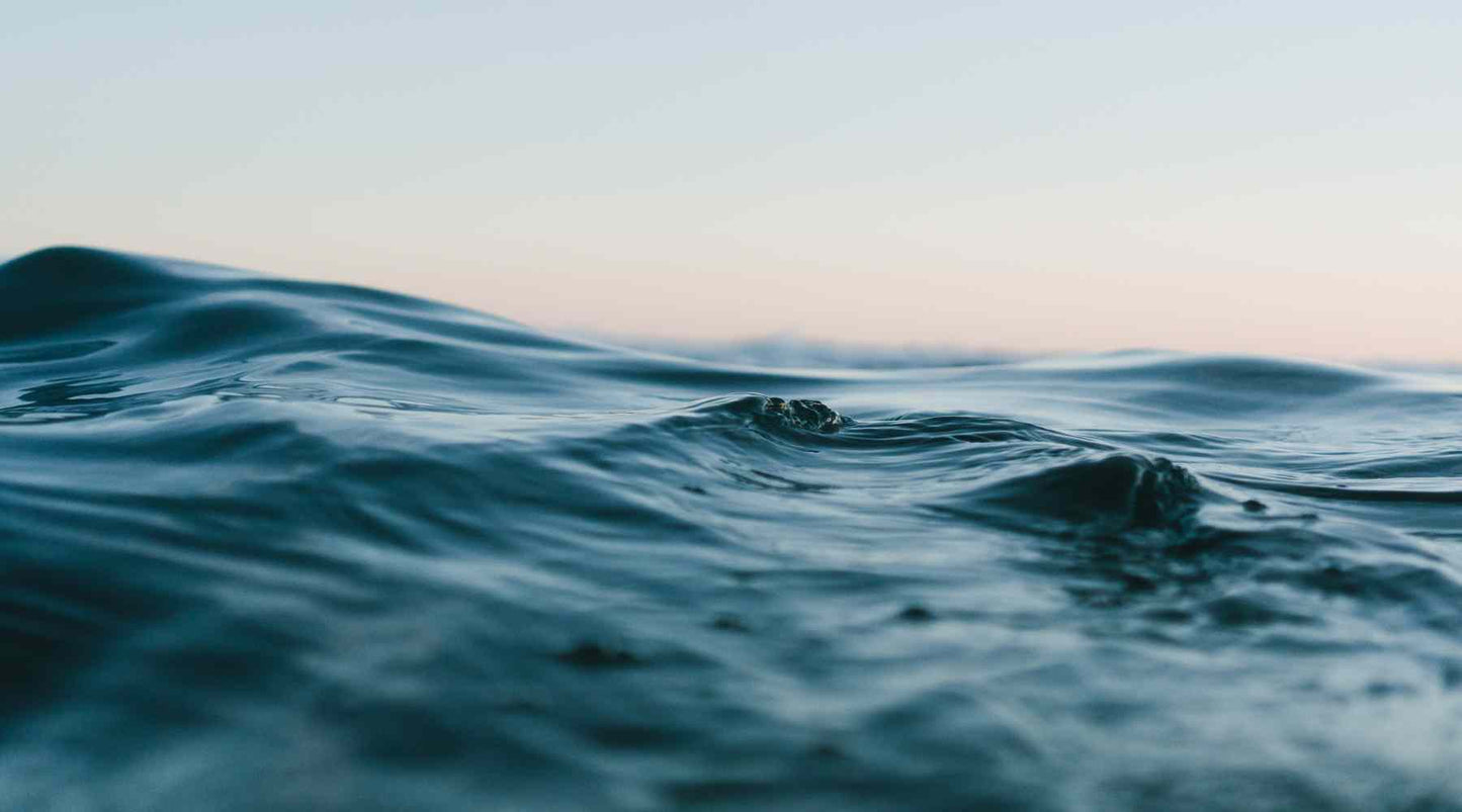 The image shows a close-up of calm ocean water with a smooth wave, captured in soft lighting that suggests early morning or evening.