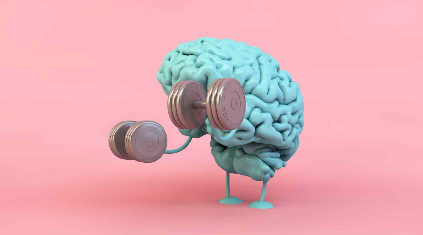 A brain with limbs lifting weights on a pink backdrop, illustrating mental strength and neuroplasticity.
