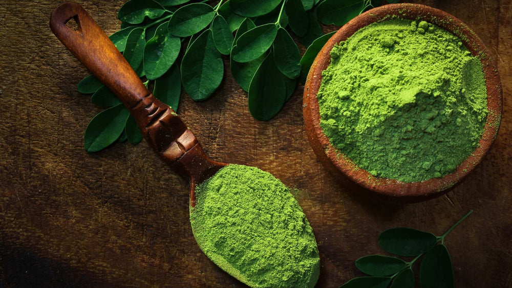 Health Benefits of Moringa Oleifera Leaf Powder