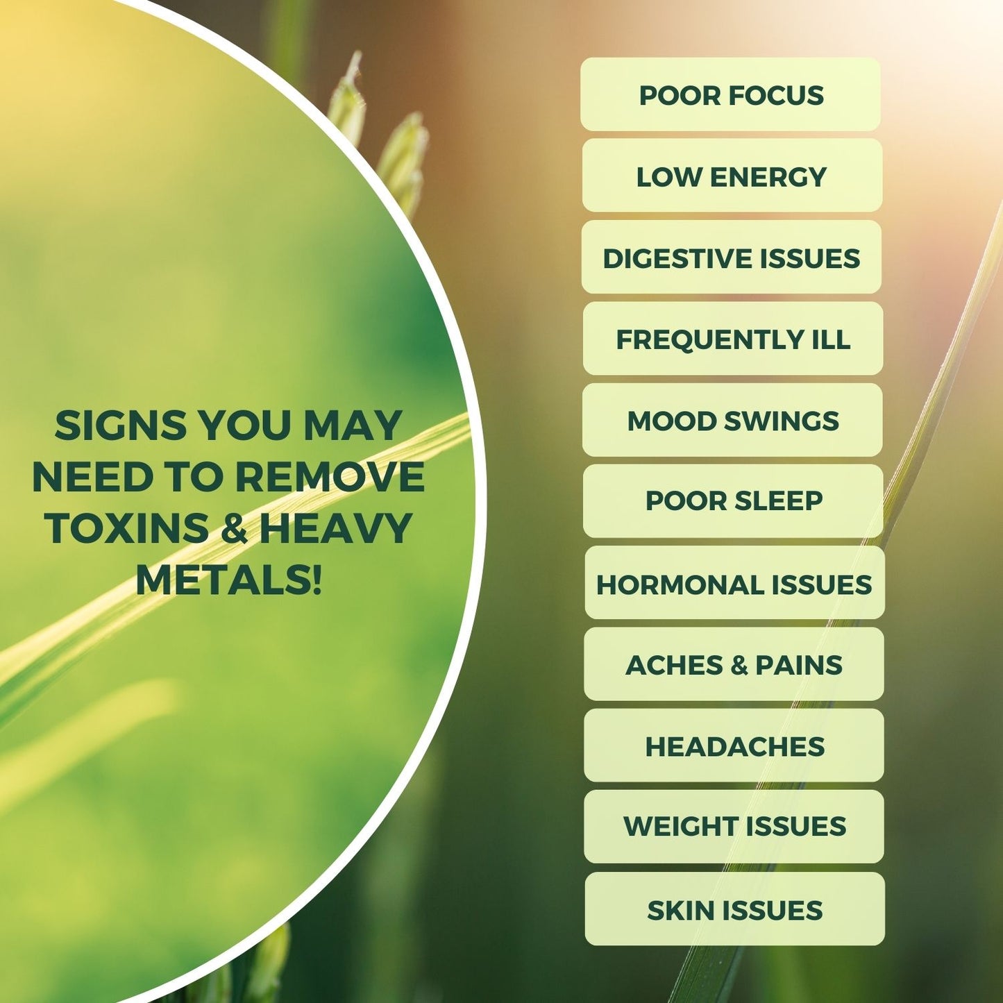 
                  
                    The image features an infographic titled "Signs You May Need to Remove Toxins & Heavy Metals!" set against a blurred natural green background. It lists several health issues that could potentially be addressed by detoxifying, such as poor focus, low energy, digestive issues, frequent illness, mood swings, poor sleep, hormonal imbalances, aches and pains, headaches, weight issues, and skin issues. 
                  
                